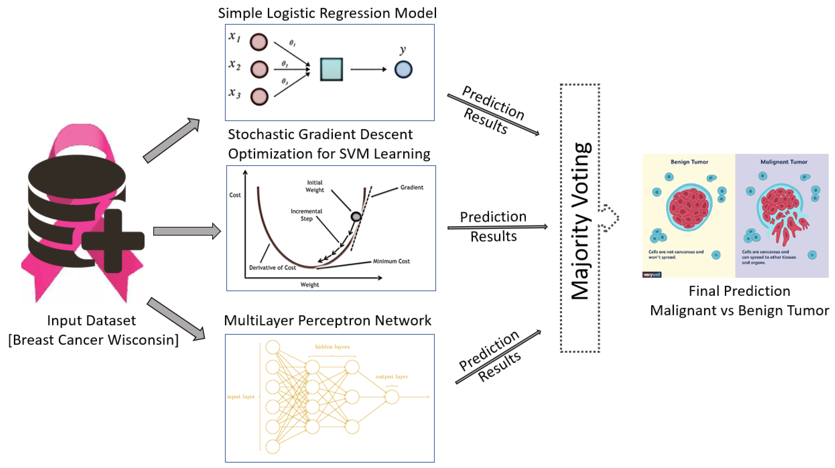 jimaging-06-00039-g001